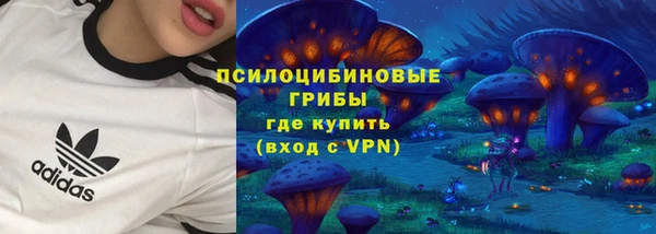 прущие крисы Вяземский