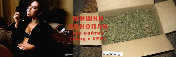 прущие крисы Вяземский