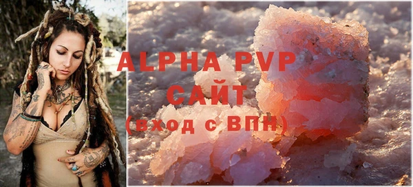 прущие крисы Вяземский