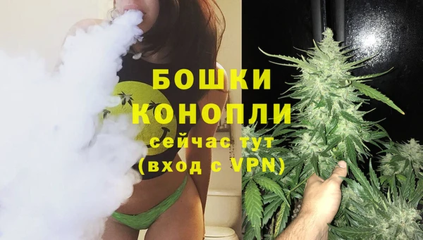 индика Вязники