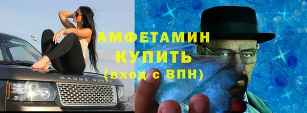 прущие крисы Вяземский