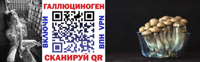 Купить  Грязи  Галлюциногенные грибы Magic Shrooms 